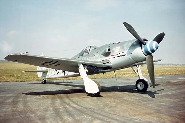 Focke Wulf FW 190D-9 -the last of this formidable fight