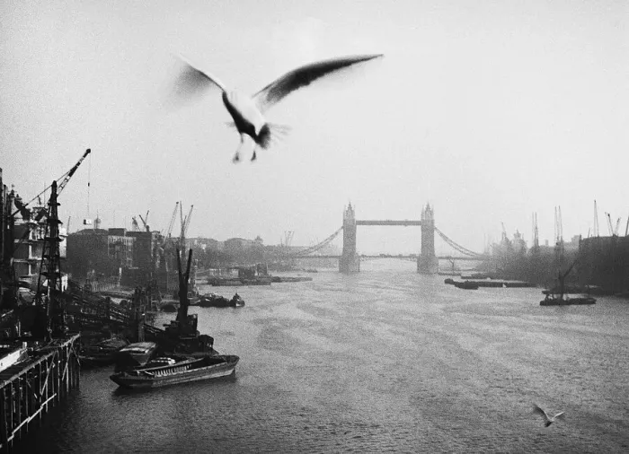 Framed Print : Fog on the River Thames near Tower Bridge, London Framed Print : Fog on the River Thames near Tower Bridge, London