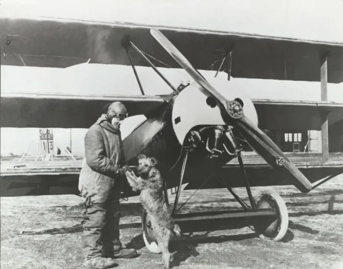 Framed Print : Fokker DR-1 Triplane Framed Print : Fokker DR-1 Triplane