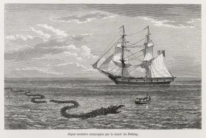 Framed Print : Folklore / Sea Serpent Framed Print : Folklore / Sea Serpent