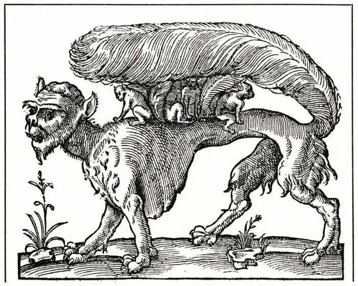 Framed Print : FOLKLORE / SUCCARATH 15C Framed Print : FOLKLORE / SUCCARATH 15C