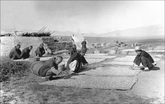 Framed Print : Food drying or sorting in Kashgar, western China Framed Print : Food drying or sorting in Kashgar, western China
