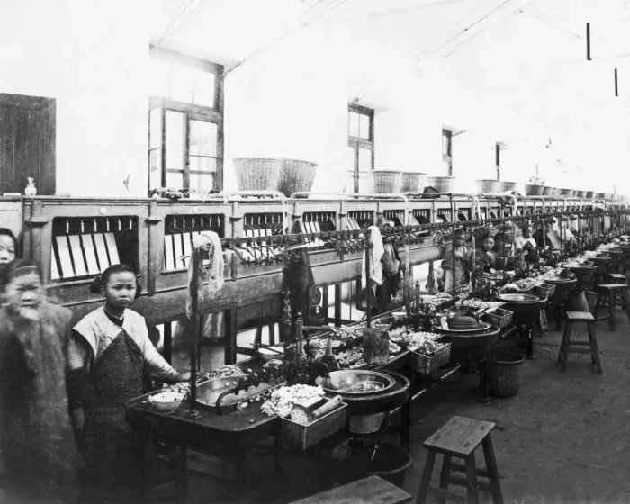Framed Print : Food factory(?), China Framed Print : Food factory(?), China