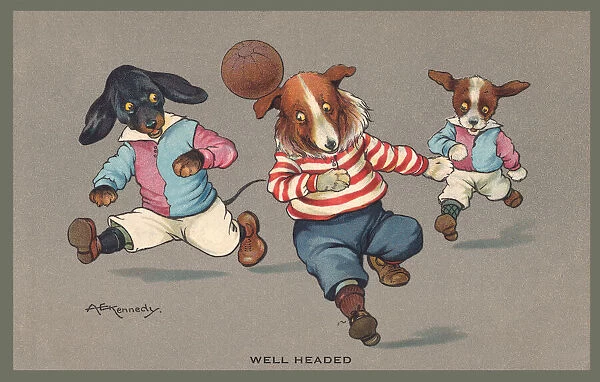 Football. Dogs playing football. Artist: A E Kennedy Date: 1912
