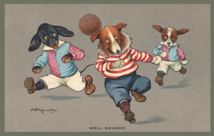 Framed Print : Football. Dogs playing football. Artist: A E Kennedy Date: 1912 Framed Print : Football. Dogs playing football. Artist: A E Kennedy Date: 1912