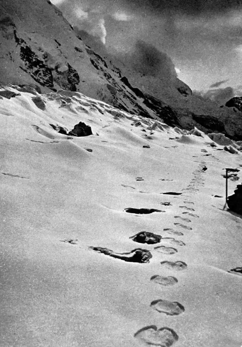 Framed Print : Footprints of a mysterious creature in the Himalayan mountai Framed Print : Footprints of a mysterious creature in the Himalayan mountai