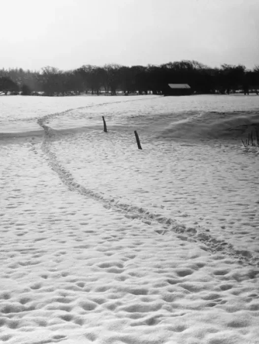 Framed Print : Footprints in the Snow Framed Print : Footprints in the Snow
