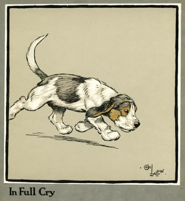 Framed Print : Forager the puppy follows the smell of food Framed Print : Forager the puppy follows the smell of food