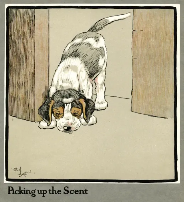 Framed Print : Forager the puppy picks up a scent Framed Print : Forager the puppy picks up a scent