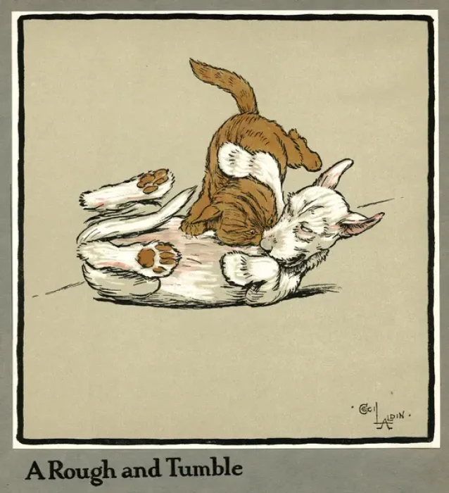 Framed Print : Forager the puppy sniffs at the Irish stew Framed Print : Forager the puppy sniffs at the Irish stew
