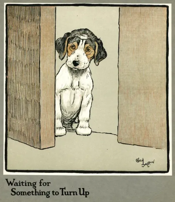 Framed Print : Forager the puppy waiting for more food Framed Print : Forager the puppy waiting for more food