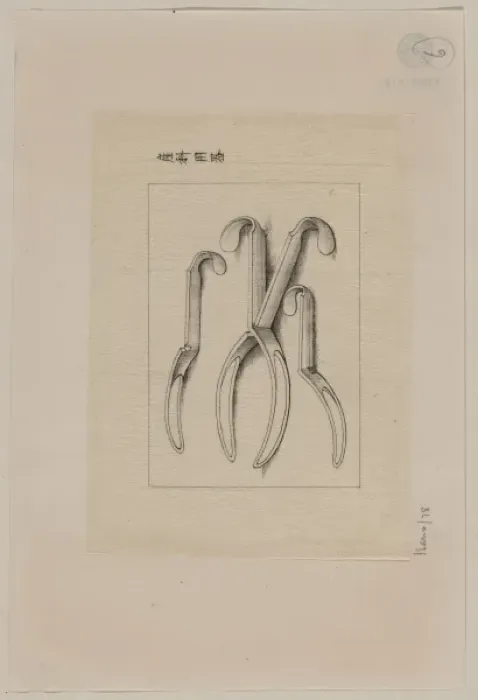 Framed Print : Forceps?. Drawing shows each half of obstetrical Framed Print : Forceps?. Drawing shows each half of obstetrical