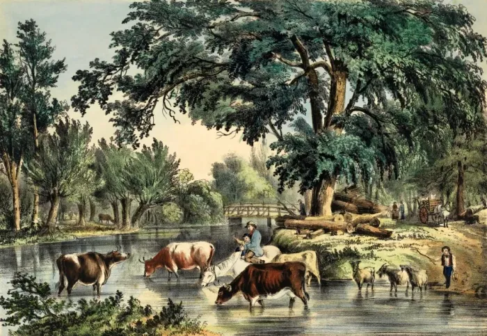 Framed Print : Fording the River with a cattle drive Framed Print : Fording the River with a cattle drive