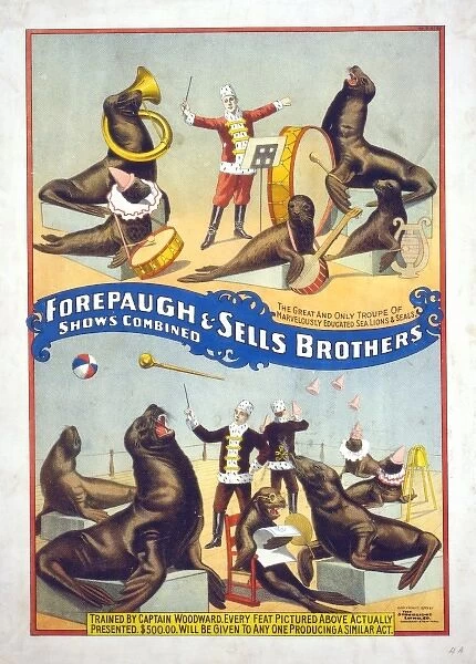 Forepaugh & Sells Brothers shows combined