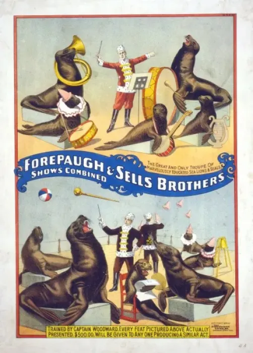 Framed Print : Forepaugh & Sells Brothers shows combined Framed Print : Forepaugh & Sells Brothers shows combined