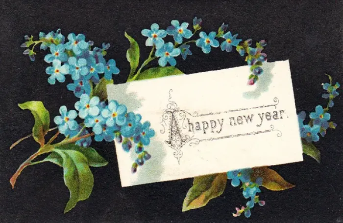 Framed Print : Forget-me-nots on a New Year card Framed Print : Forget-me-nots on a New Year card