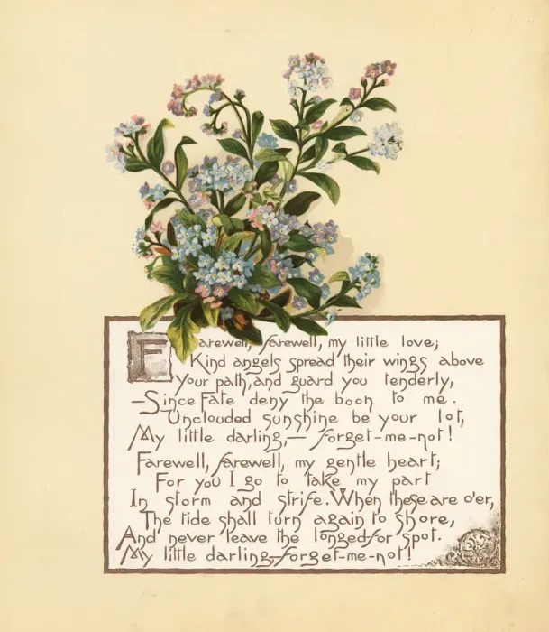 Framed Print : Forget me not, Myosotis palustris, and calligraphic poem Framed Print : Forget me not, Myosotis palustris, and calligraphic poem