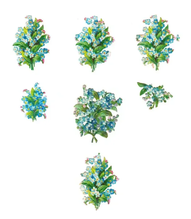 Framed Print : Forgetmenots on seven Victorian scraps Framed Print : Forgetmenots on seven Victorian scraps