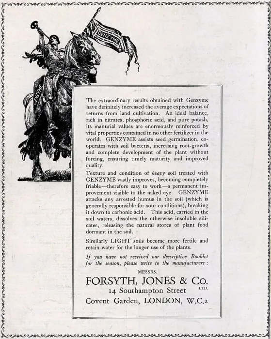 Framed Print : Forsyth, Jones and Co Advertisement Framed Print : Forsyth, Jones and Co Advertisement