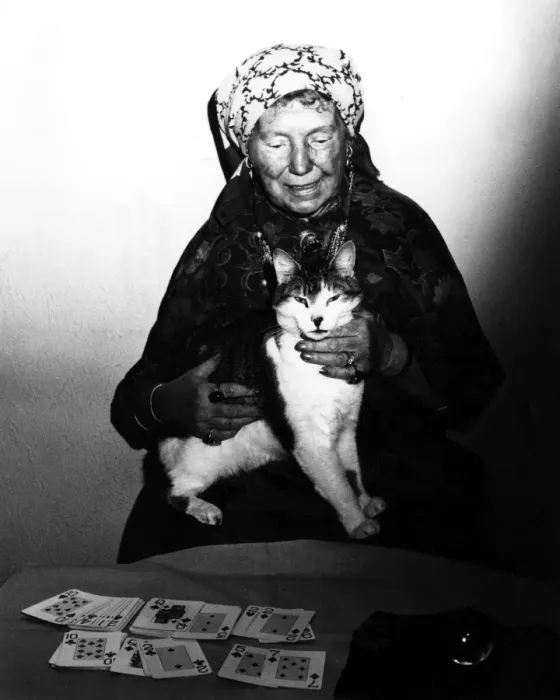 Framed Print : Fortune Teller & Cat Framed Print : Fortune Teller & Cat