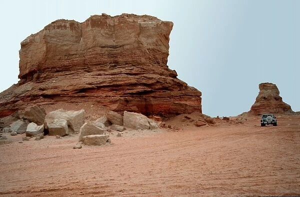 Fossil bearing rocks, Abu Dhabi
