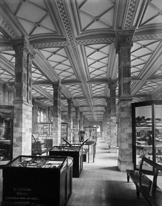 Framed Print : Fossil Mammal Gallery, Natural History Museum Framed Print : Fossil Mammal Gallery, Natural History Museum