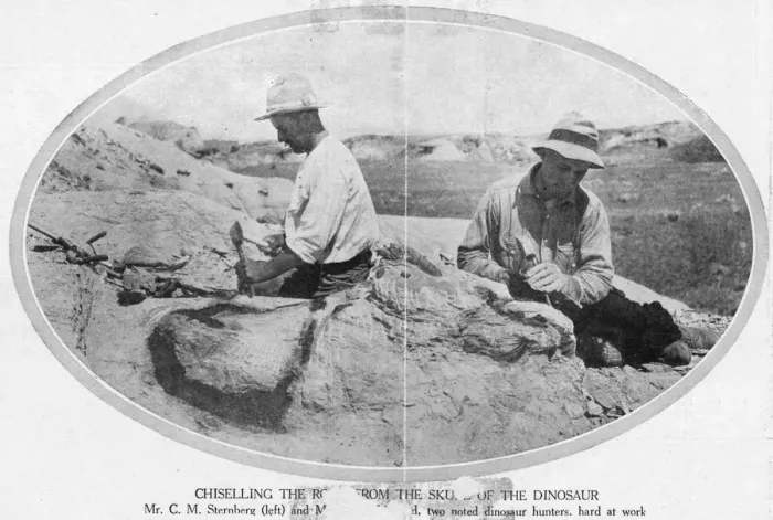 Framed Print : Fossils / Palaeontologists Framed Print : Fossils / Palaeontologists