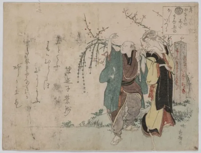 Framed Print : Four: cottonballs blooming on a willow Framed Print : Four: cottonballs blooming on a willow