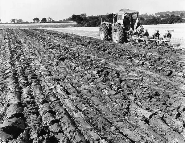 Four-Furrow Tractor