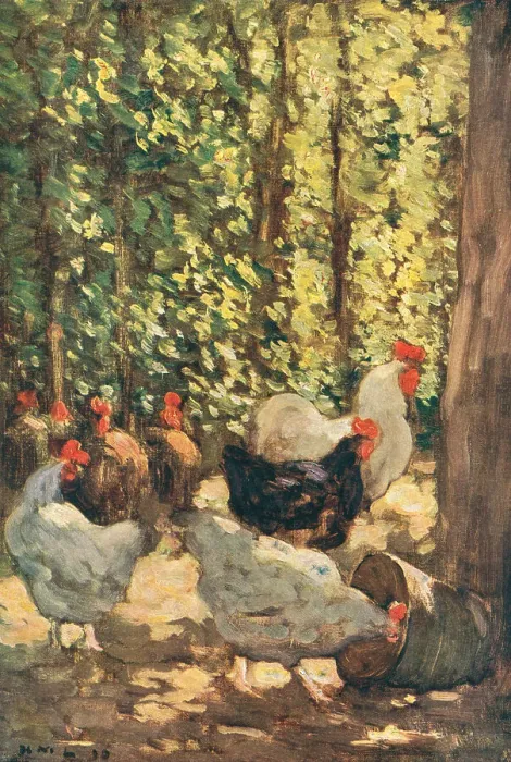 Framed Print : Fowls In Sunlight Framed Print : Fowls In Sunlight