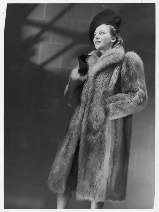 Framed Print : Fox Coat by Halifax Framed Print : Fox Coat by Halifax