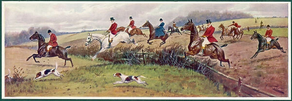 Fox Hunting  /  In Full Cry