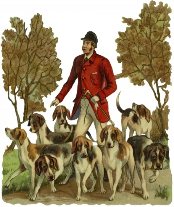 Framed Print : Fox Hunting Framed Print : Fox Hunting