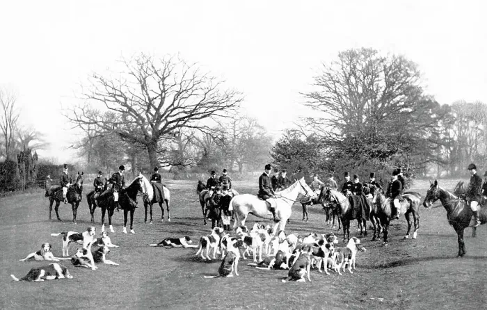 Framed Print : Fox hunting early 1900s