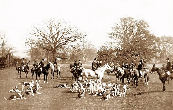 Fox hunting with hounds