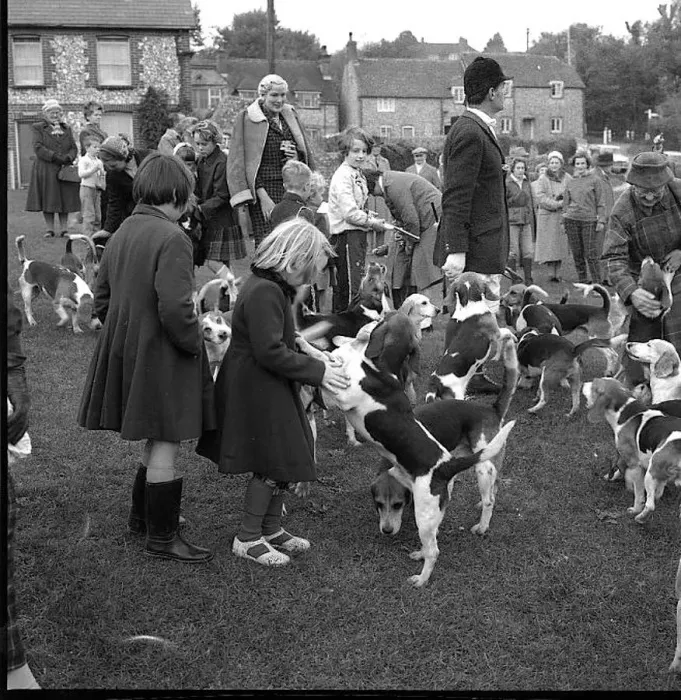 : Fox Meet, East Dean, East Sussex : Fox Meet, East Dean, East Sussex