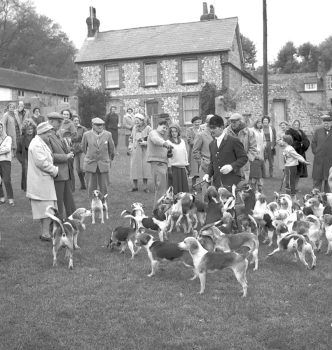 : Fox Meet, East Dean, East Sussex : Fox Meet, East Dean, East Sussex
