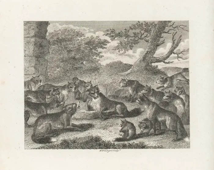 Framed Print : The Fox at the Point of Death Framed Print : The Fox at the Point of Death