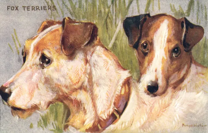 Framed Print : Fox Terriers Framed Print : Fox Terriers