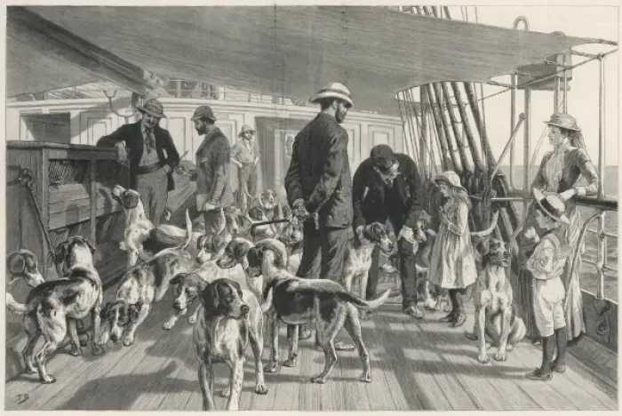 Framed Print : Foxhounds sent to India Framed Print : Foxhounds sent to India