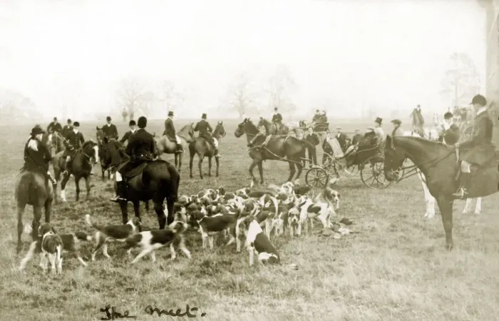 Framed Print : Foxhunting Framed Print : Foxhunting