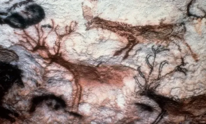 Framed Print : FRANCE. Montignac. The Cave of Lascaux. Sala de los Toros Framed Print : FRANCE. Montignac. The Cave of Lascaux. Sala de los Toros