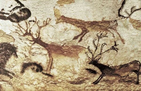 FRANCE. Montignac. The Cave of Lascaux. Hall of