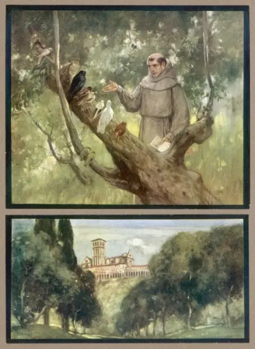 Framed Print : Francesco and Birds Framed Print : Francesco and Birds