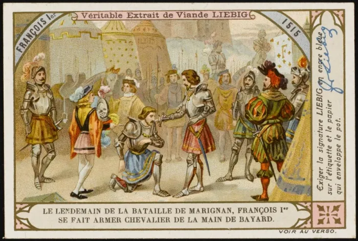 Framed Print : Francois I Knighted Framed Print : Francois I Knighted