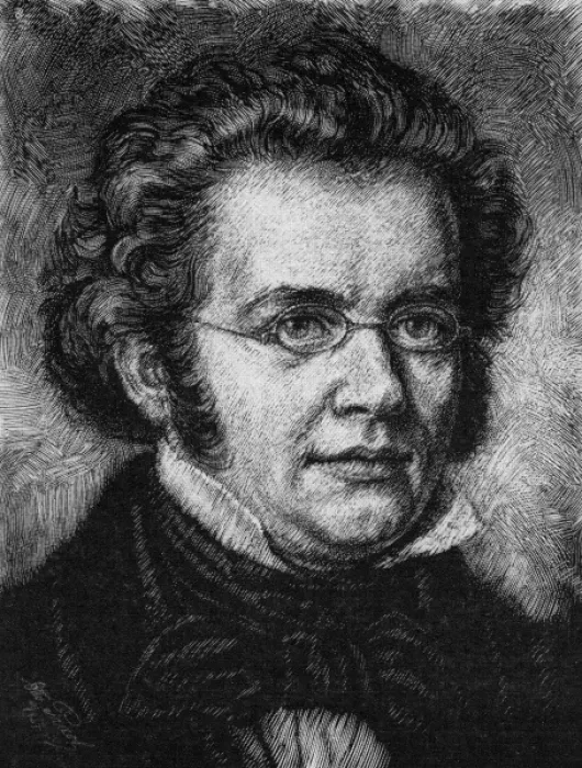 Framed Print : Franz Schubert Framed Print : Franz Schubert