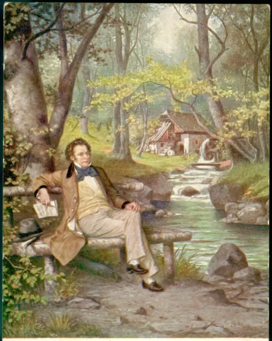 Framed Print : Franz Schubert, Austrian composer and musician Framed Print : Franz Schubert, Austrian composer and musician
