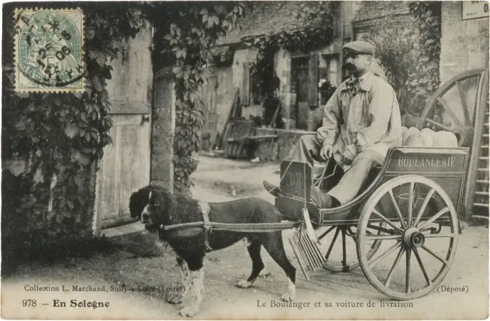 Framed Print : A French baker sits in his cart ready to deliver his bread, his dog stands ready to move off. Date: 1906 Framed Print : A French baker sits in his cart ready to deliver his bread, his dog stands ready to move off. Date: 1906
