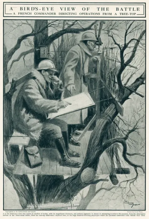 Framed Print : French Commander directing operations from tree top 1917 Framed Print : French Commander directing operations from tree top 1917