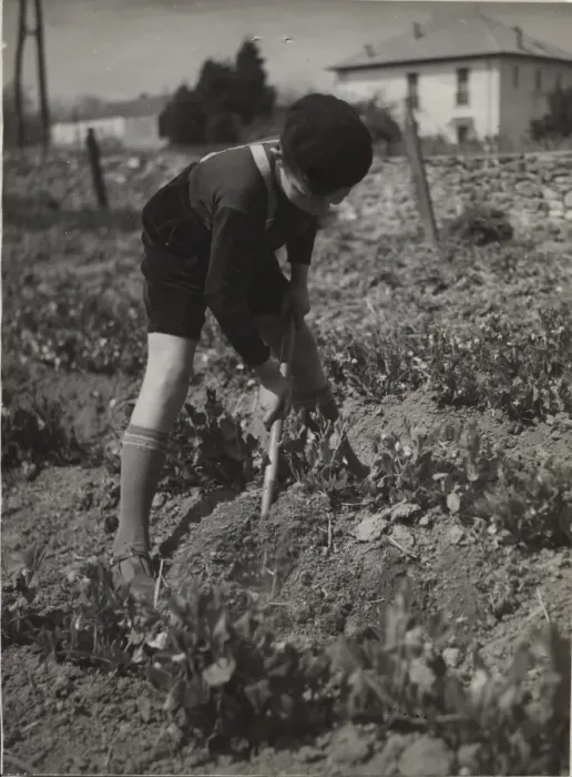 Framed Print : French cub scout digging in a field Framed Print : French cub scout digging in a field